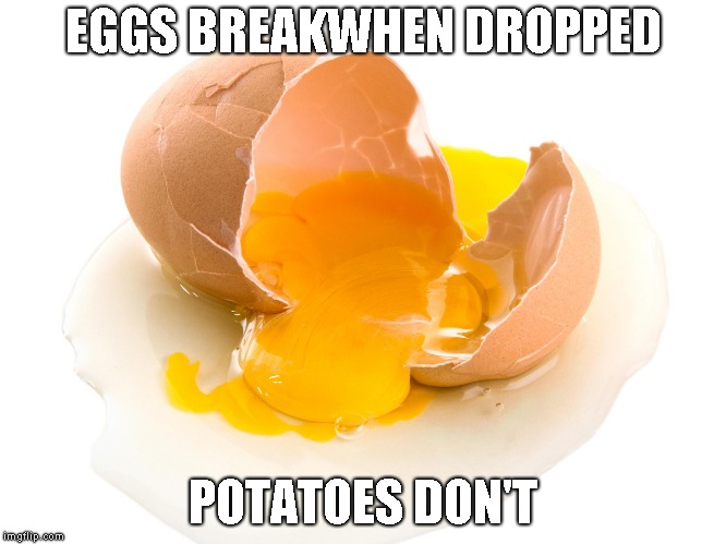 EGGS BREAKWHEN DROPPED POTATOES DON'T | made w/ Imgflip meme maker
