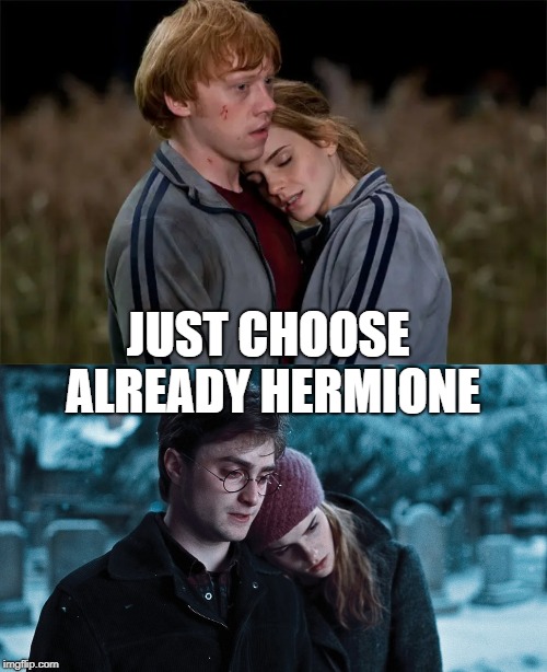 JUST CHOOSE ALREADY HERMIONE | image tagged in harry potter | made w/ Imgflip meme maker