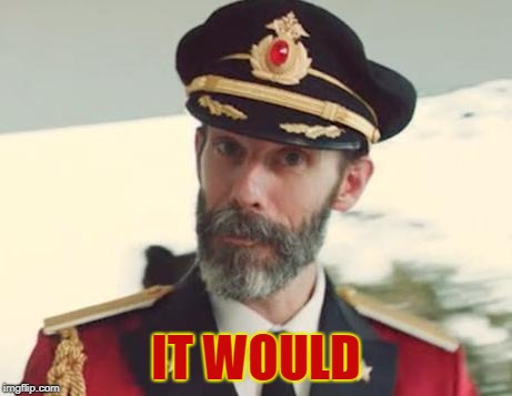 Captain Obvious | IT WOULD | image tagged in captain obvious | made w/ Imgflip meme maker