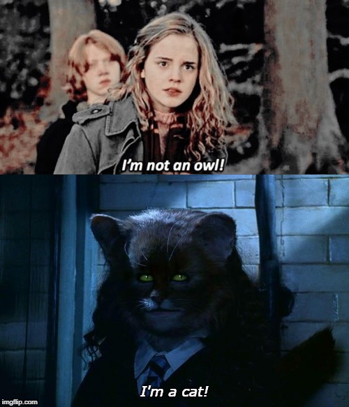 I'm a cat! | image tagged in harry potter | made w/ Imgflip meme maker