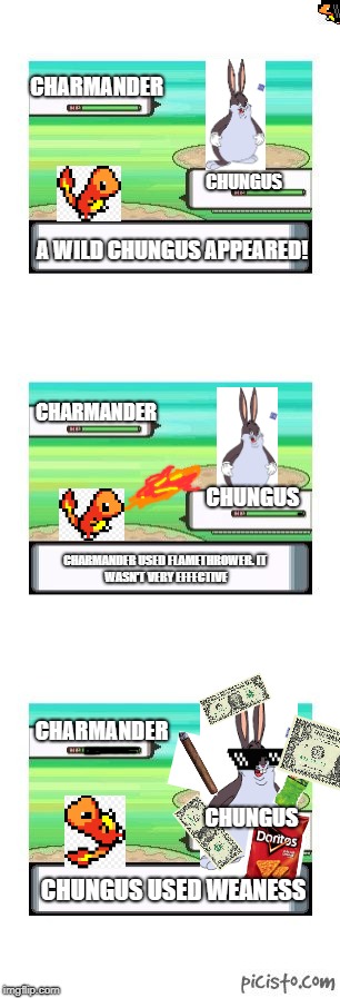 controversial pokemon battle | CHARMANDER; CHUNGUS; A WILD CHUNGUS APPEARED! CHARMANDER; CHUNGUS; CHARMANDER USED FLAMETHROWER.
IT WASN'T VERY EFFECTIVE; CHARMANDER; CHUNGUS; CHUNGUS USED WEANESS | image tagged in controversial pokemon battle | made w/ Imgflip meme maker