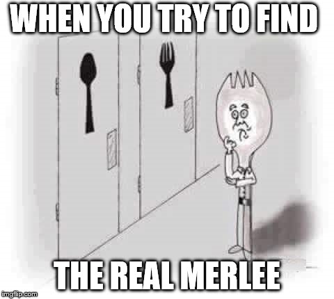 Transgender Spork | WHEN YOU TRY TO FIND; THE REAL MERLEE | image tagged in transgender spork | made w/ Imgflip meme maker