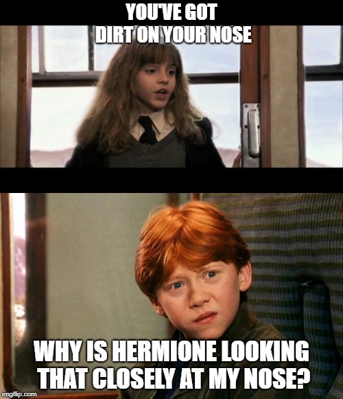 YOU'VE GOT DIRT ON YOUR NOSE; WHY IS HERMIONE LOOKING THAT CLOSELY AT MY NOSE? | image tagged in harry potter | made w/ Imgflip meme maker