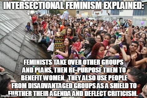 Feminist hypocrisy | INTERSECTIONAL FEMINISM EXPLAINED:; FEMINISTS TAKE OVER OTHER GROUPS AND PLANS, THEN RE-PURPOSE THEM TO BENEFIT WOMEN.  THEY ALSO USE PEOPLE FROM DISADVANTAGED GROUPS AS A SHIELD TO FURTHER THEIR AGENDA AND DEFLECT CRITICISM. | image tagged in feminists,anti-feminism,memes,explain,agenda,manipulation | made w/ Imgflip meme maker