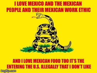 Gadsden Flag | I LOVE MEXICO AND THE MEXICAN PEOPLE AND THEIR MEXICAN WORK ETHIC; AND I LOVE MEXICAN FOOD TOO IT’S THE ENTERING THE U.S. ILLEGALLY THAT I DON’T LIKE | image tagged in gadsden flag | made w/ Imgflip meme maker