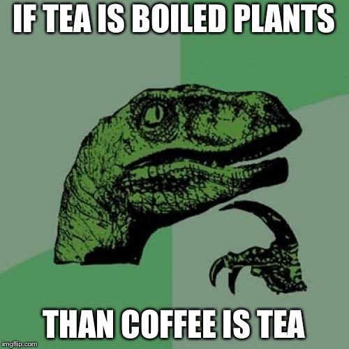 Philosoraptor | IF TEA IS BOILED PLANTS; THAN COFFEE IS TEA | image tagged in memes,philosoraptor | made w/ Imgflip meme maker