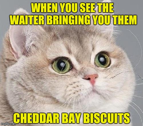 breathing intensifies | WHEN YOU SEE THE WAITER BRINGING YOU THEM; CHEDDAR BAY BISCUITS | image tagged in breathing intensifies | made w/ Imgflip meme maker
