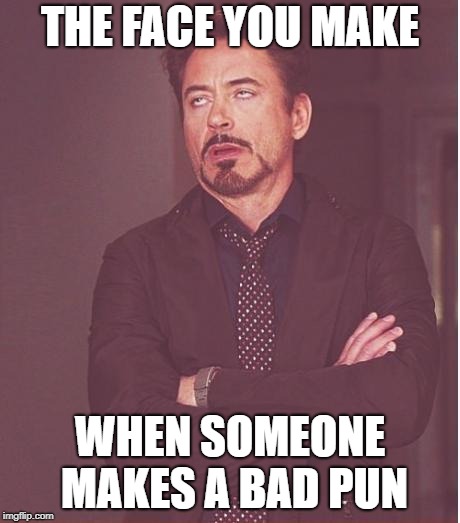 Face You Make Robert Downey Jr Meme | THE FACE YOU MAKE; WHEN SOMEONE MAKES A BAD PUN | image tagged in memes,face you make robert downey jr | made w/ Imgflip meme maker