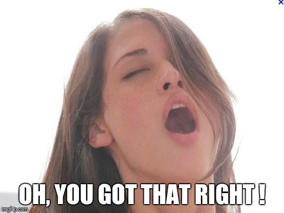 orgasm | OH, YOU GOT THAT RIGHT ! | image tagged in orgasm | made w/ Imgflip meme maker