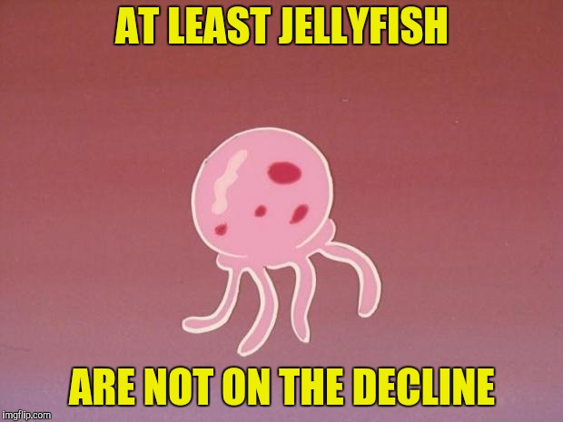 Jellyfish | AT LEAST JELLYFISH ARE NOT ON THE DECLINE | image tagged in jellyfish | made w/ Imgflip meme maker