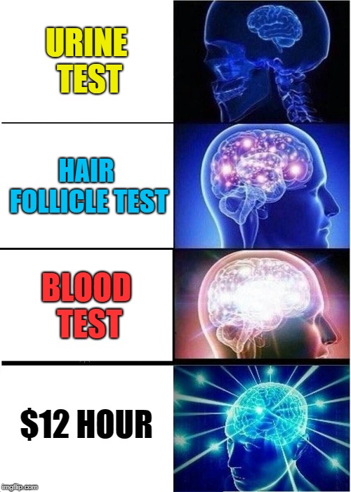 Expanding Brain Meme | URINE TEST; HAIR FOLLICLE TEST; BLOOD TEST; $12 HOUR | image tagged in memes,expanding brain | made w/ Imgflip meme maker