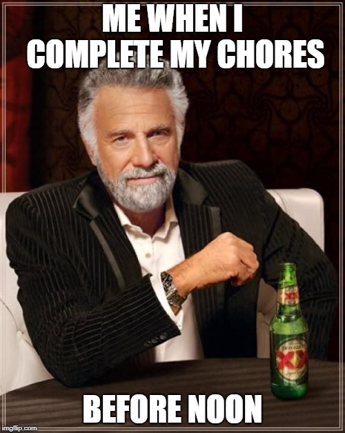 The Most Interesting Man In The World Meme | ME WHEN I COMPLETE MY CHORES; BEFORE NOON | image tagged in memes,the most interesting man in the world | made w/ Imgflip meme maker