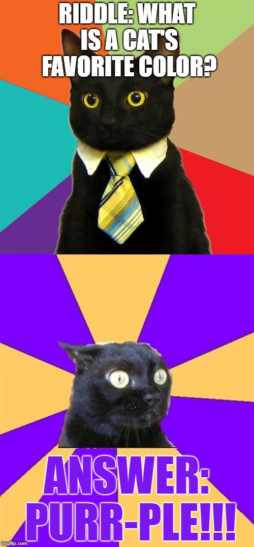 I hope you don't think this joke is a cat-astrophe. | RIDDLE: WHAT IS A CAT'S FAVORITE COLOR? ANSWER: PURR-PLE!!! | image tagged in memes,business cat,social anxiety cat,cats,riddles and brainteasers | made w/ Imgflip meme maker