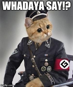 Funny cat  | WHADAYA SAY!? | image tagged in grammar nazi cat,ww2,funny,memes,meme,cat | made w/ Imgflip meme maker
