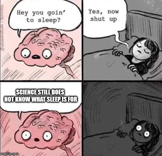 waking up brain | SCIENCE STILL DOES NOT KNOW WHAT SLEEP IS FOR | image tagged in waking up brain | made w/ Imgflip meme maker