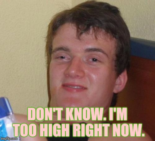 10 Guy Meme | DON'T KNOW. I'M TOO HIGH RIGHT NOW. | image tagged in memes,10 guy | made w/ Imgflip meme maker