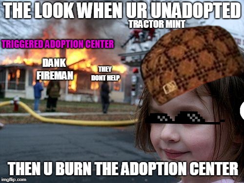 Disaster Girl Meme | THE LOOK WHEN UR UNADOPTED; TRACTOR MINT; TRIGGERED ADOPTION CENTER; DANK FIREMAN; THEY DONT HELP; THEN U BURN THE ADOPTION CENTER | image tagged in memes,disaster girl | made w/ Imgflip meme maker