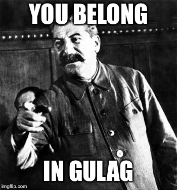 Stalin | YOU BELONG IN GULAG | image tagged in stalin | made w/ Imgflip meme maker