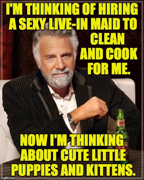 Just some stuff I think about. | I'M THINKING OF HIRING A SEXY LIVE-IN MAID TO; CLEAN AND COOK FOR ME. NOW I'M THINKING ABOUT CUTE LITTLE PUPPIES AND KITTENS. | image tagged in memes,the most interesting man in the world,kittens,puppies | made w/ Imgflip meme maker