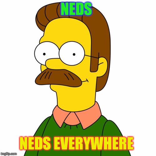 Ned Flanders | NEDS NEDS EVERYWHERE | image tagged in ned flanders | made w/ Imgflip meme maker