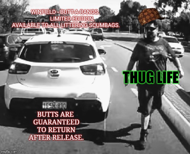 Butt-a-rang | WINFIELD - BUTT-A-RANGS. 
        LIMITED EDITION, AVAILABLE TO ALL LITTERING SCUMBAGS. THUG LIFE; BUTTS ARE GUARANTEED TO RETURN AFTER RELEASE. | image tagged in thug life,cigarette,littering,dash cam | made w/ Imgflip meme maker