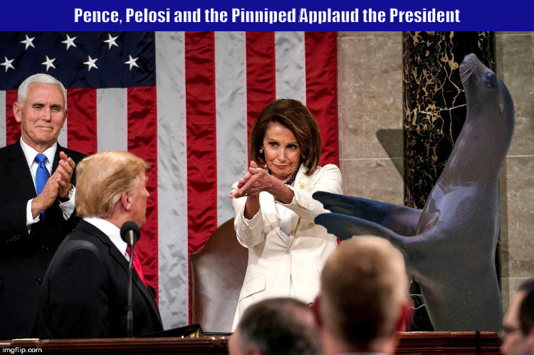 Pence, Pelosi and the Pinniped Applaud the President | image tagged in donald trump,president trump,nancy pelosi,clapback,state of the union,memes | made w/ Imgflip meme maker