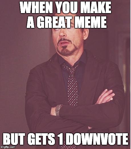 Face You Make Robert Downey Jr | WHEN YOU MAKE A GREAT MEME; BUT GETS 1 DOWNVOTE | image tagged in memes,face you make robert downey jr | made w/ Imgflip meme maker