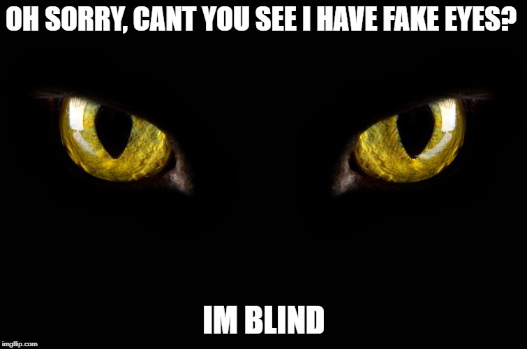 Oh sorry, Cant you see I have fake eyes? - Im blind | OH SORRY, CANT YOU SEE I HAVE FAKE EYES? IM BLIND | image tagged in eyes,oh sorry cant you see i have fake eyes - im blind,memes | made w/ Imgflip meme maker