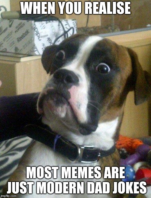 what have we become? | WHEN YOU REALISE; MOST MEMES ARE JUST MODERN DAD JOKES | image tagged in blankie the shocked dog,dad joke | made w/ Imgflip meme maker