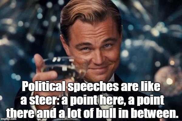 Leonardo Dicaprio Cheers | Political speeches are like a steer: a point here, a point there and a lot of bull in between. | image tagged in memes,leonardo dicaprio cheers | made w/ Imgflip meme maker
