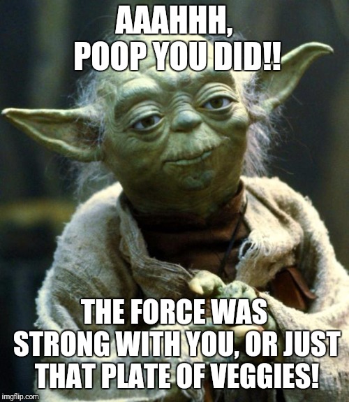 Star Wars Yoda Meme | AAAHHH, POOP YOU DID!! THE FORCE WAS STRONG WITH YOU, OR JUST THAT PLATE OF VEGGIES! | image tagged in memes,star wars yoda | made w/ Imgflip meme maker
