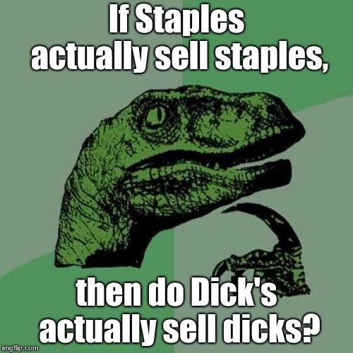 Vine Time: Shopping Expectations | If Staples actually sell staples, then do Dick's actually sell dicks? | image tagged in memes,philosoraptor,vines,staples,dicks | made w/ Imgflip meme maker