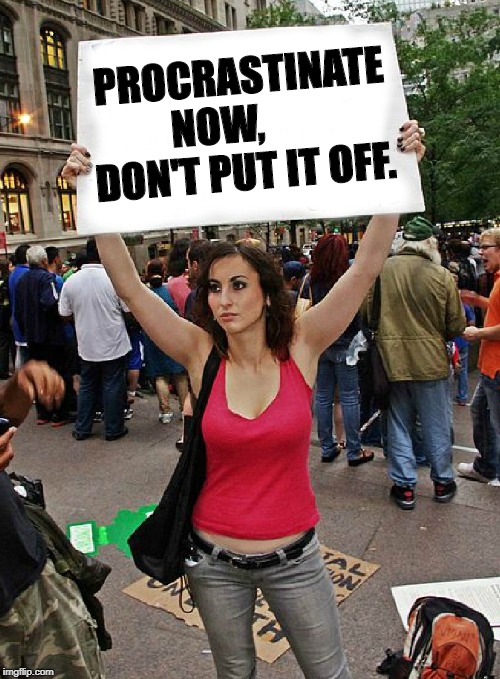 proteste | PROCRASTINATE NOW,        DON'T PUT IT OFF. | image tagged in proteste | made w/ Imgflip meme maker