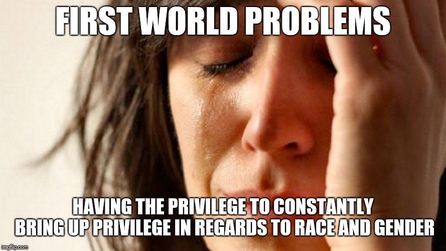The privilege to bring up privilege | FIRST WORLD PROBLEMS; HAVING THE PRIVILEGE TO CONSTANTLY BRING UP PRIVILEGE IN REGARDS TO RACE AND GENDER | image tagged in politics,white privilege,gender,race | made w/ Imgflip meme maker