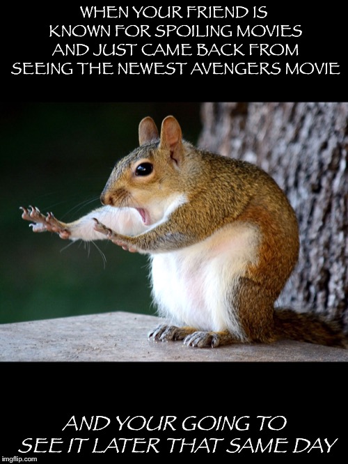 Squirrel says no to spoilers | WHEN YOUR FRIEND IS KNOWN FOR SPOILING MOVIES AND JUST CAME BACK FROM SEEING THE NEWEST AVENGERS MOVIE; AND YOUR GOING TO SEE IT LATER THAT SAME DAY | image tagged in funny memes,squirrel | made w/ Imgflip meme maker