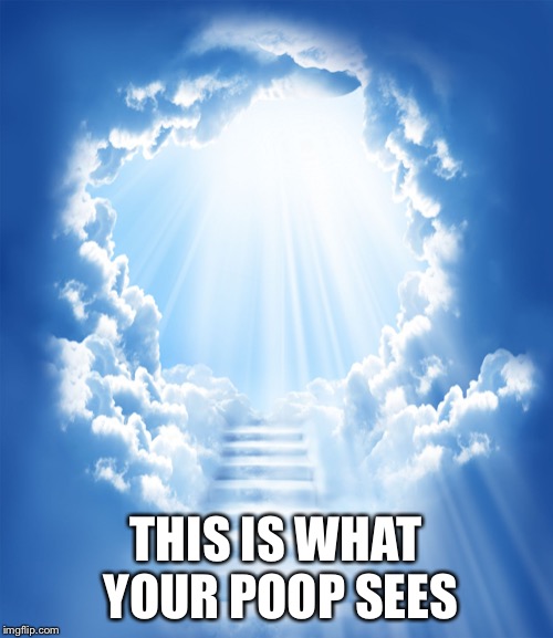 Heaven | THIS IS WHAT YOUR POOP SEES | image tagged in heaven | made w/ Imgflip meme maker