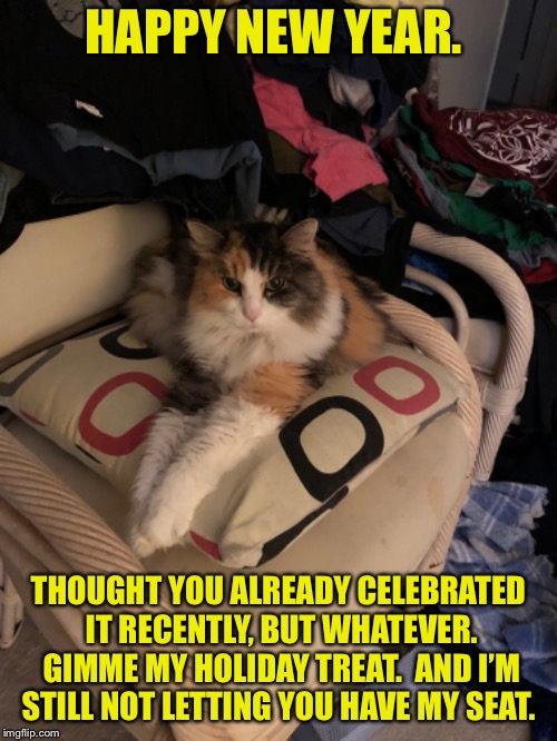 Cat CNY | HAPPY NEW YEAR. THOUGHT YOU ALREADY CELEBRATED IT RECENTLY, BUT WHATEVER. GIMME MY HOLIDAY TREAT.  AND I’M STILL NOT LETTING YOU HAVE MY SEAT. | image tagged in cat,cny | made w/ Imgflip meme maker