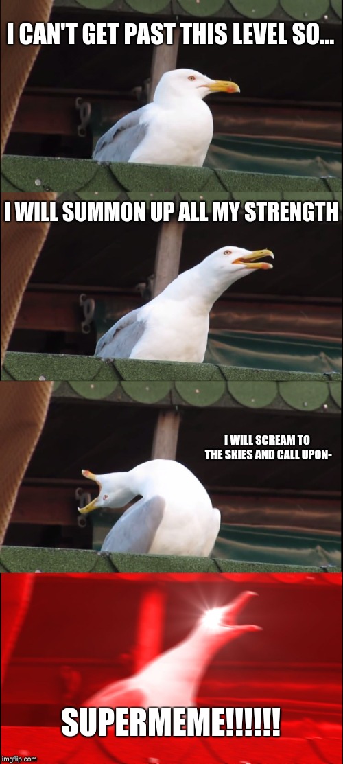 Inhaling Seagull Meme | I CAN'T GET PAST THIS LEVEL SO... I WILL SUMMON UP ALL MY STRENGTH; I WILL SCREAM TO THE SKIES AND CALL UPON-; SUPERMEME!!!!!! | image tagged in memes,inhaling seagull | made w/ Imgflip meme maker