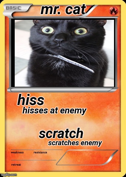 meow meow | mr. cat; hiss; hisses at enemy; scratch; scratches enemy | image tagged in blank pokemon card | made w/ Imgflip meme maker