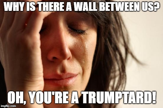 Time for America to Get a Divorce | WHY IS THERE A WALL BETWEEN US? OH, YOU'RE A TRUMPTARD! | image tagged in first world problems,impeach trump,dump trump,trump wall | made w/ Imgflip meme maker