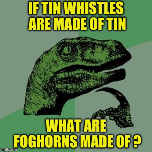 Philosoraptor Meme | IF TIN WHISTLES ARE MADE OF TIN WHAT ARE FOGHORNS MADE OF ? | image tagged in memes,philosoraptor | made w/ Imgflip meme maker