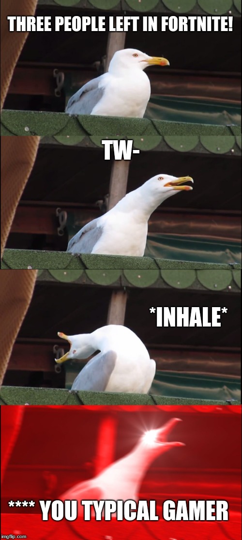 Inhaling Seagull Meme | THREE PEOPLE LEFT IN FORTNITE! TW-; *INHALE*; **** YOU TYPICAL GAMER | image tagged in memes,inhaling seagull | made w/ Imgflip meme maker