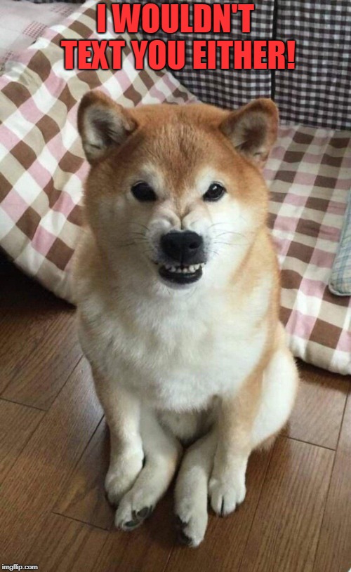 Angry doge | I WOULDN'T TEXT YOU EITHER! | image tagged in angry doge | made w/ Imgflip meme maker