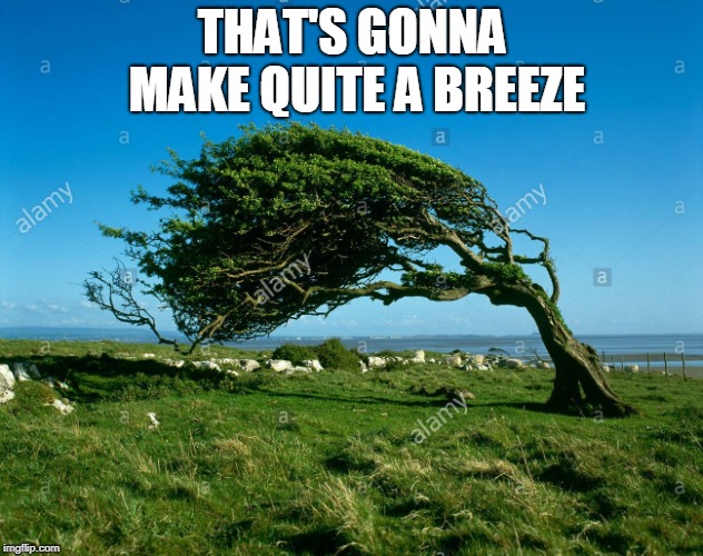wind | THAT'S GONNA MAKE QUITE A BREEZE | image tagged in wind | made w/ Imgflip meme maker