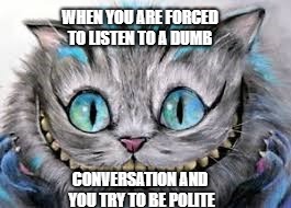 Me: | WHEN YOU ARE FORCED TO LISTEN TO A DUMB; CONVERSATION AND YOU TRY TO BE POLITE | image tagged in lol so funny | made w/ Imgflip meme maker