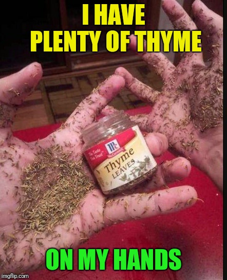 Thyme | I HAVE PLENTY OF THYME ON MY HANDS | image tagged in thyme | made w/ Imgflip meme maker