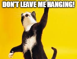 High Five Cat | DON'T LEAVE ME HANGING! | image tagged in high five cat | made w/ Imgflip meme maker