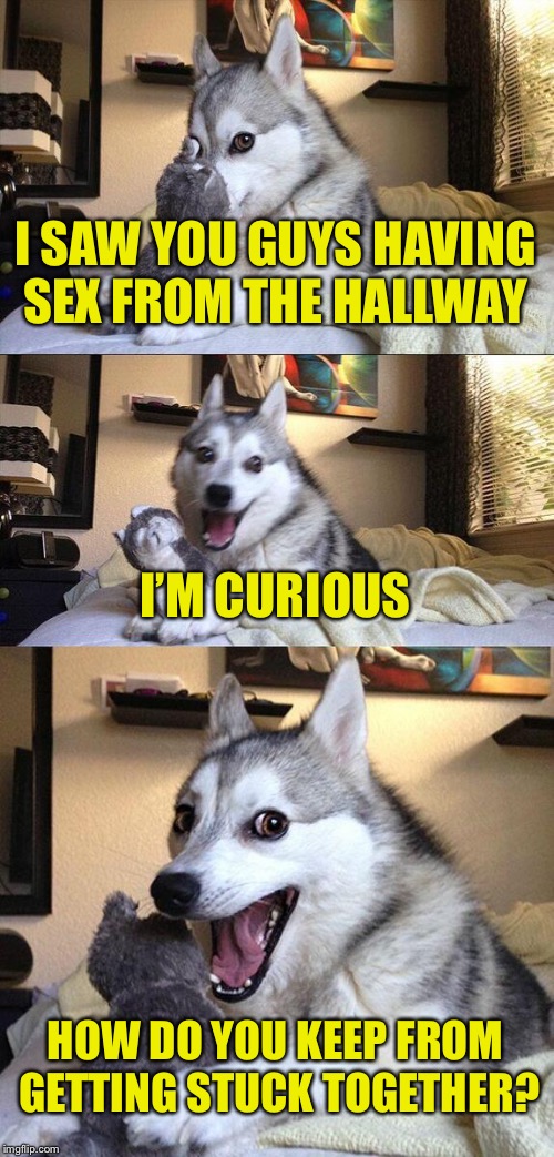 Bad Pun Dog Meme | I SAW YOU GUYS HAVING SEX FROM THE HALLWAY; I’M CURIOUS; HOW DO YOU KEEP FROM GETTING STUCK TOGETHER? | image tagged in memes,bad pun dog | made w/ Imgflip meme maker