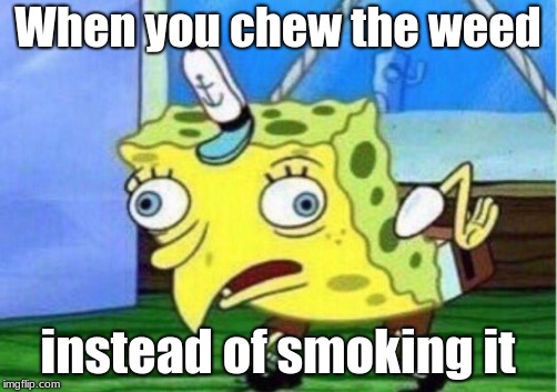 Mocking Spongebob | When you chew the weed; instead of smoking it | image tagged in memes,mocking spongebob | made w/ Imgflip meme maker