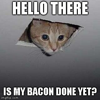 Ceiling Cat | HELLO THERE; IS MY BACON DONE YET? | image tagged in memes,ceiling cat | made w/ Imgflip meme maker